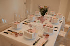 Pavlova Workshop