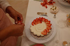 Pavlova Workshop